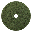 TKGRNGROUP - Glomesh Green Scrubbing - Regu
